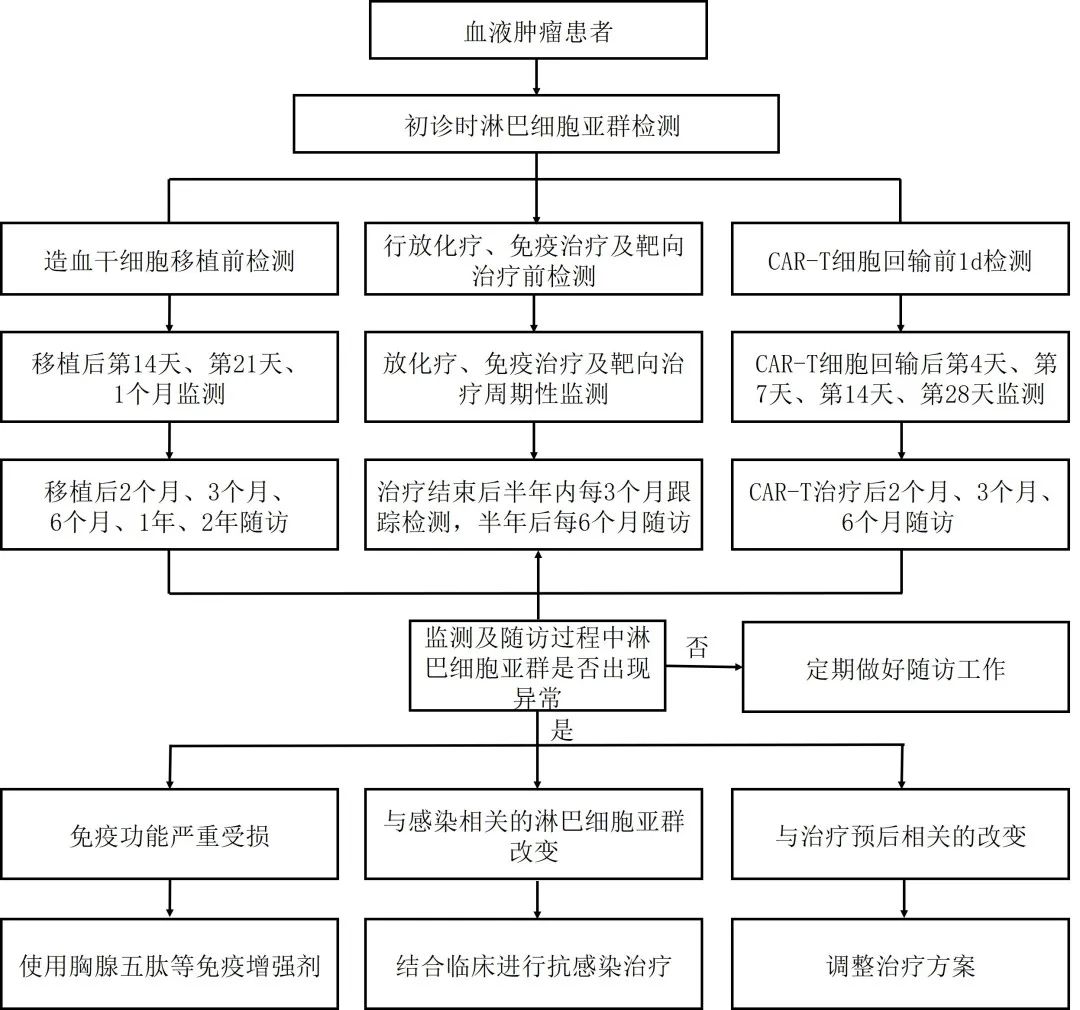 图3  血液肿瘤淋巴细胞亚群检测与随访路径图